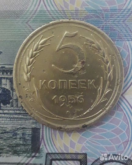 5 копеек 1954г-1956г-1957г