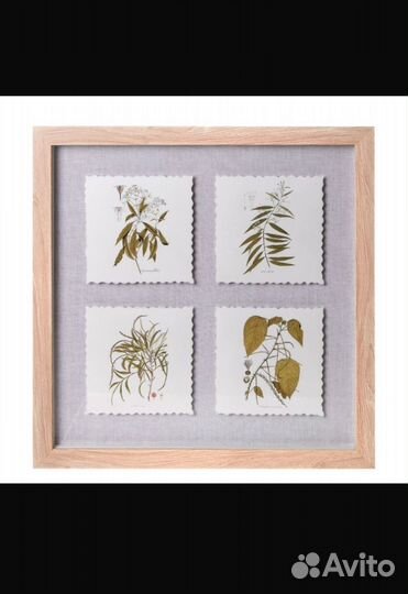 Рамочка картинки