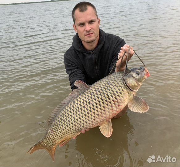 Набор долгоиграющей макухи для сазана из 30шт