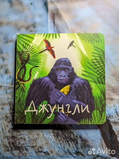 Книжка малышка Анна Веркина Джунгли