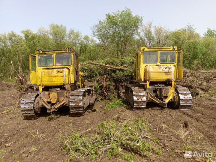 Аренда бульдозера, раскорчевка, услуги бульдозера