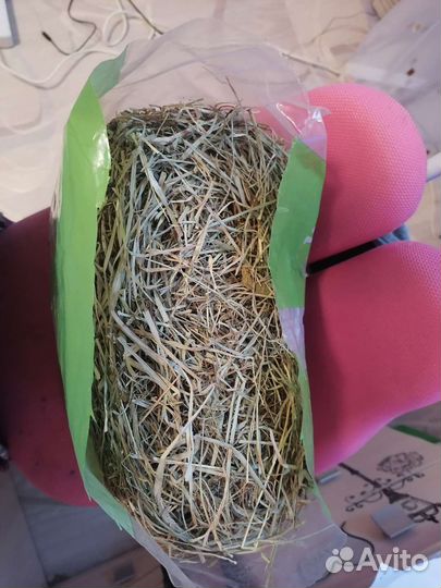 Сено для грызунов