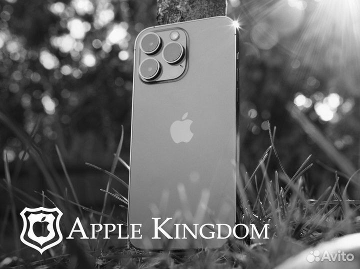 Ваши яблоки знаний ждут вас в Apple Kingdom