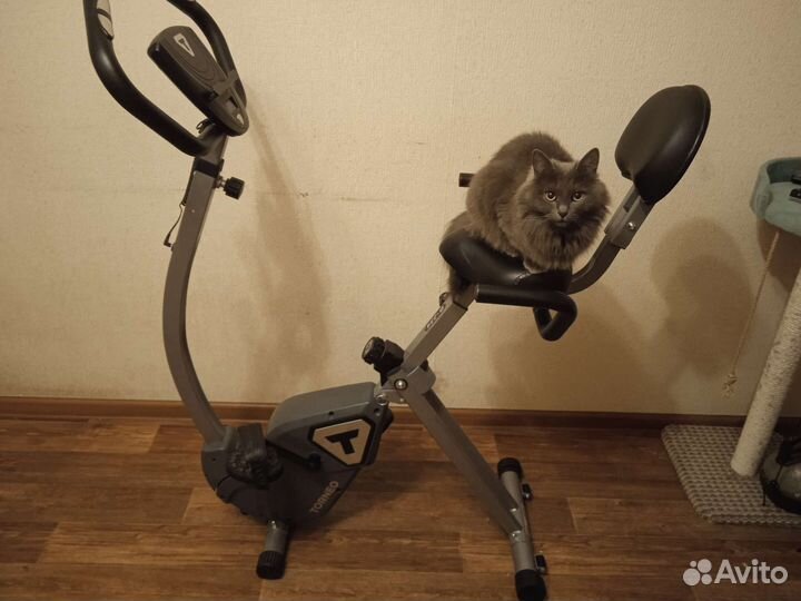 Велотренажер torneo