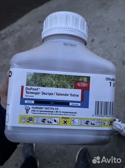 Талендо экстра