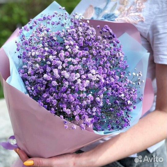 Букет из фиолетовой гипсофилы