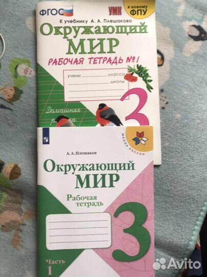 Рабочая тетрадь окружающий мир плешаков 3 класс