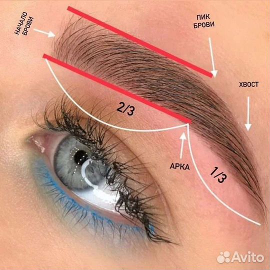 Обучение master бровист