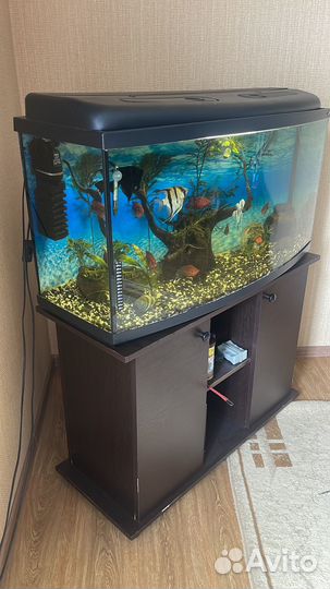Продам аквариум на 180 литров