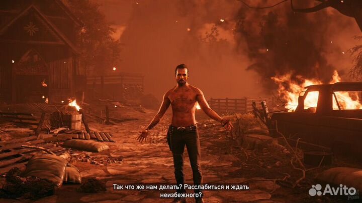 Far Cry 5 PS4 Ру