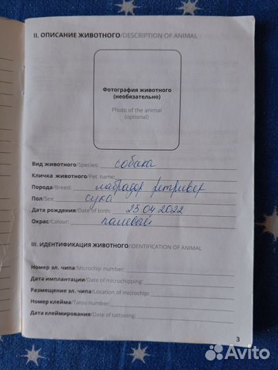 Наша девочка