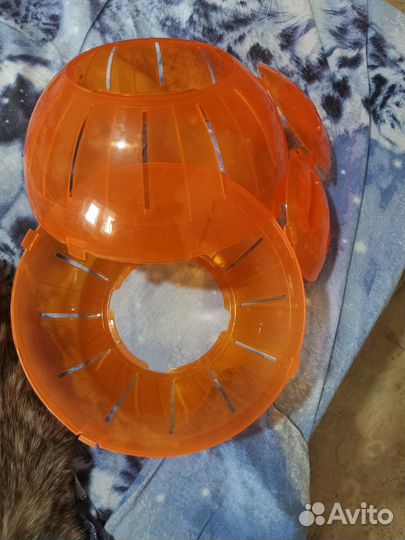 Прогулочный шар для грызунов