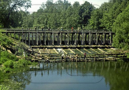 Участок 19,5 сот. (ИЖС)