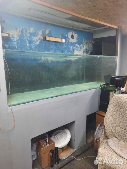 Аквариум