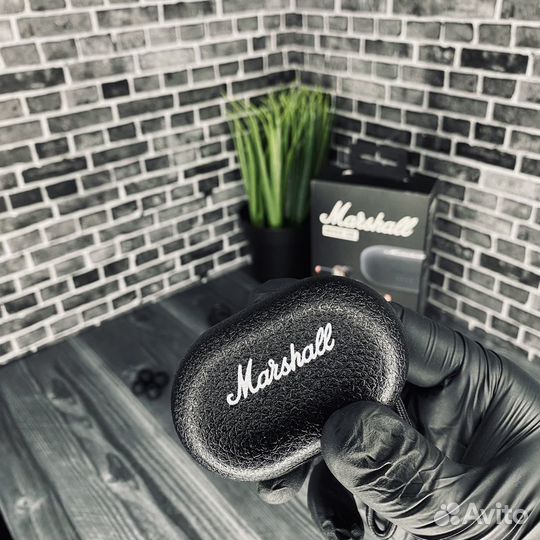 Marshall Mode 13