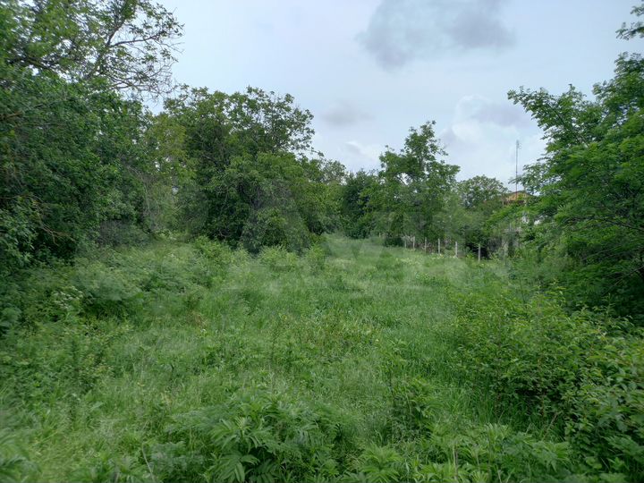 Участок 17,6 сот. (ИЖС)