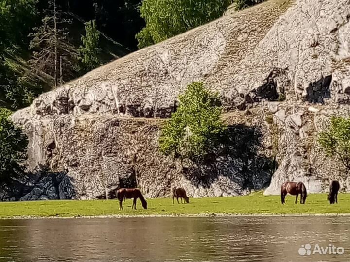 Сплав по реке Белая с 5-6 августа