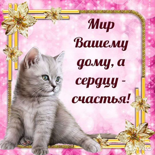 Ячмень,пшеница