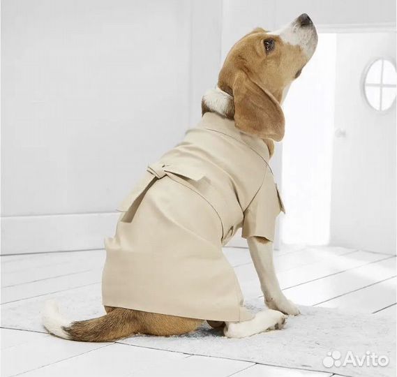 Плащ для собаки новый 3,5-6 кг