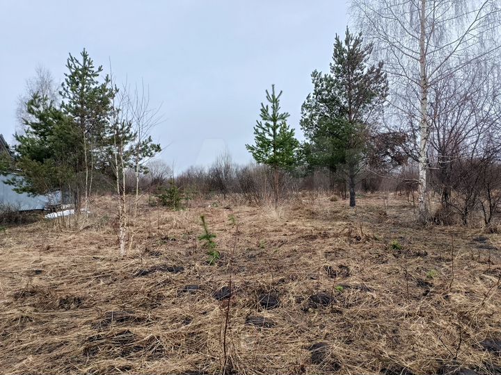Участок 8,1 сот. (СНТ, ДНП)