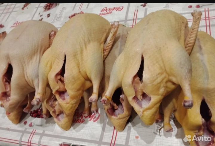 Мясо утки