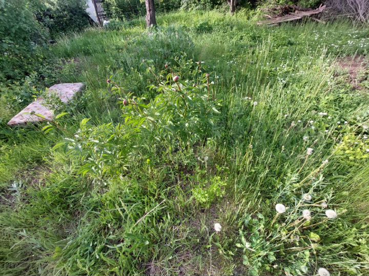 Дача 20 м² на участке 9 сот.