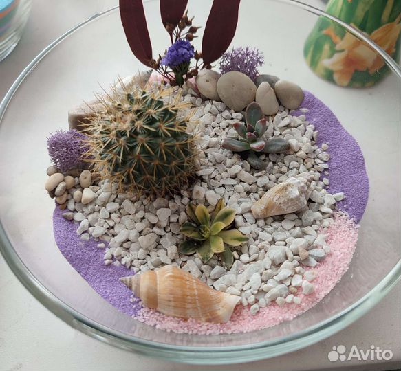 Проданные флорариумы