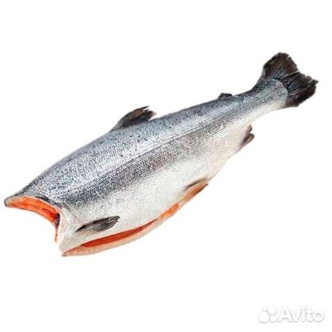 Форель турецкая