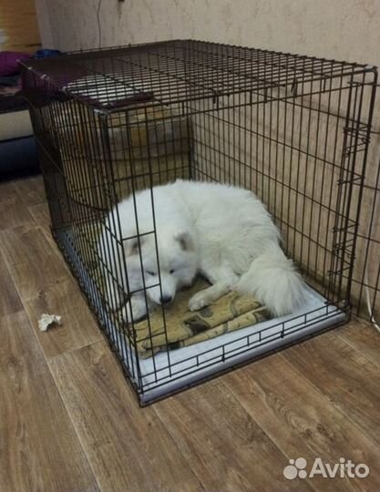 Клетка для собак №4