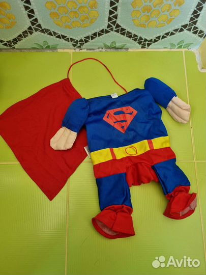 Шуточный костюм для маленькой собачки