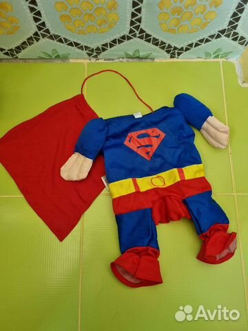 Шуточный костюм для маленькой собачки