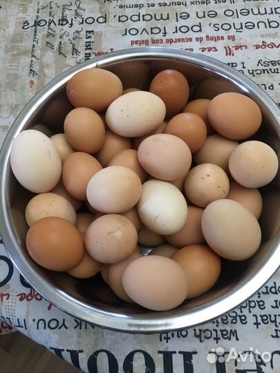 Домашние куриные яйца