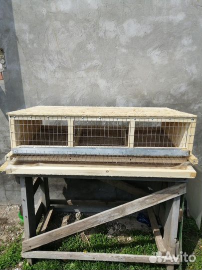 Клетки для перепелов