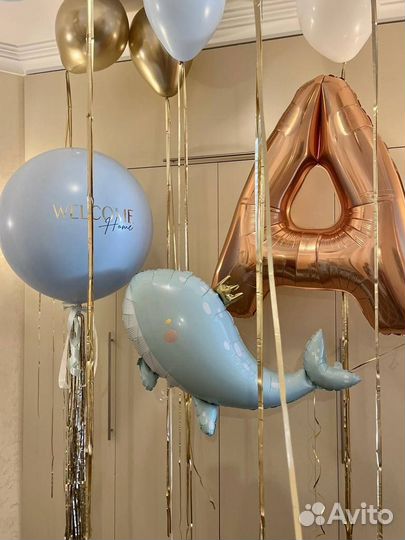 Воздушные шарыфотозонытомск