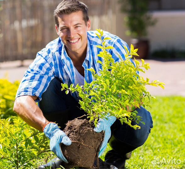 Садовник в частное владение с проживанием