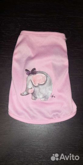 Одежда для животных