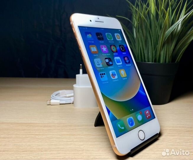 iPhone 8 Plus, 256 ГБ
