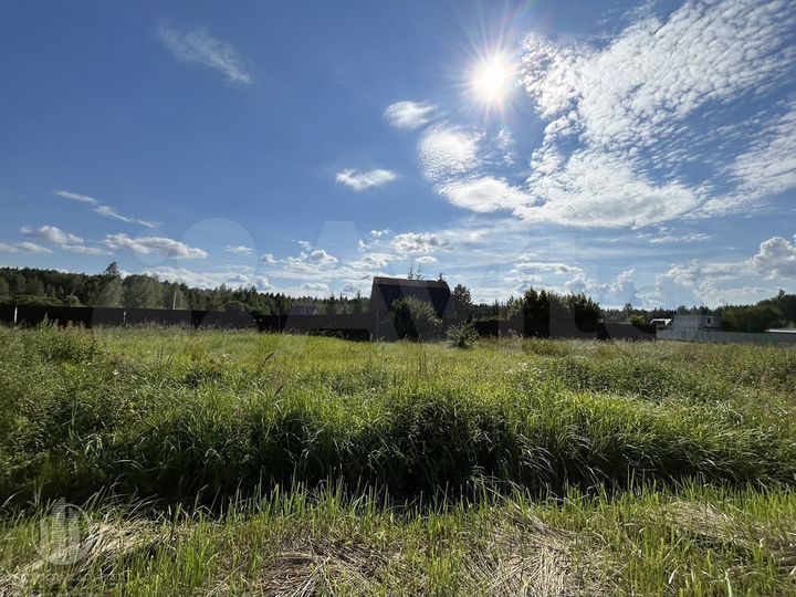 Участок 22 сот. (СНТ, ДНП)