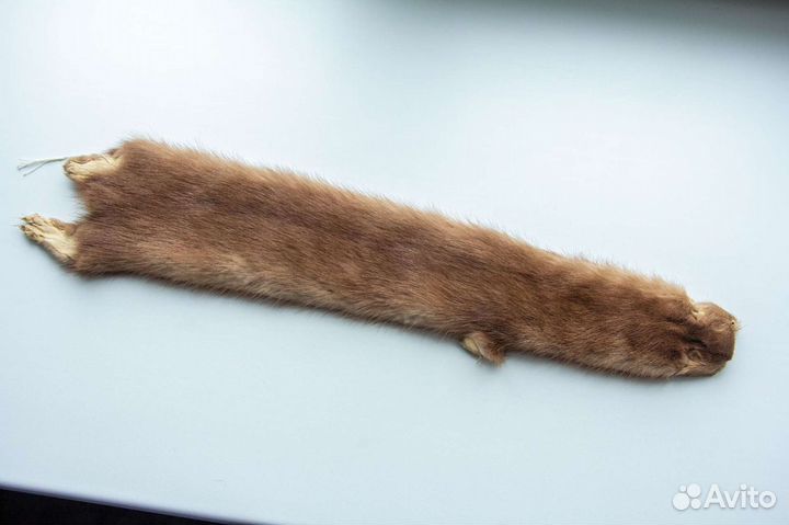 Норка, шкурка-чулок, заводская