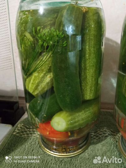 Огурцы на зиму