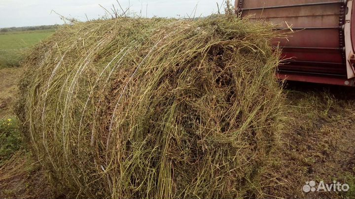 Продам сено в тюках луговое и люцерна