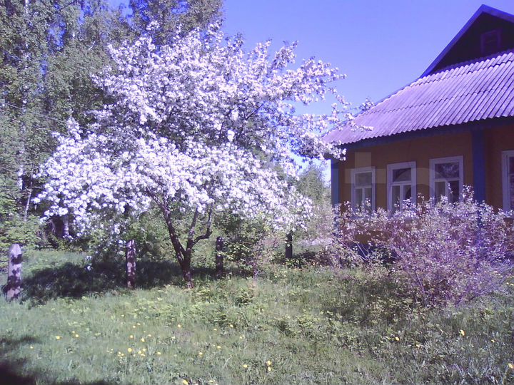 Дом 120 м² на участке 25,5 сот.