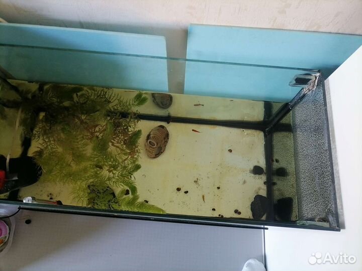 Аквариум 130 литров