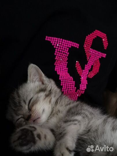 Детские футболки со стразами