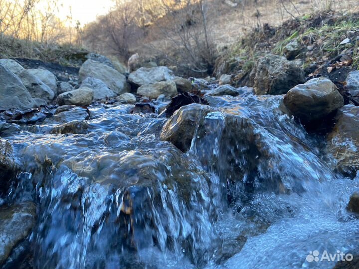 Экскурсии по Кавказу