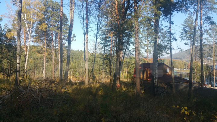 Участок 25,9 сот. (СНТ, ДНП)