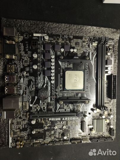 Asus prime a320m k