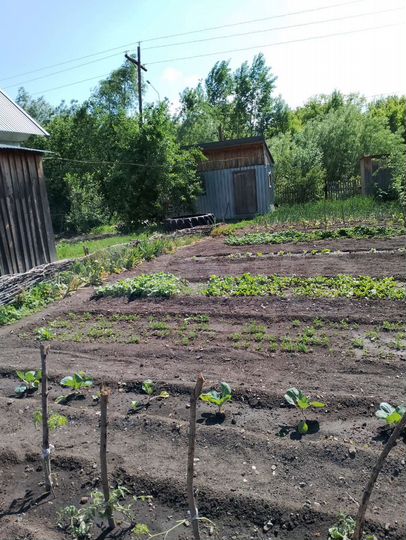 Дом 100 м² на участке 12 сот.