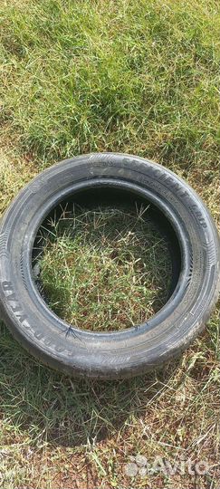 Goodyear EfficientGrip Performance 205/55 R16 91V