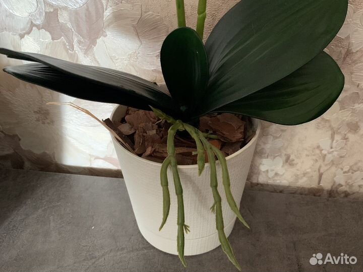 Орхидея искуственнная